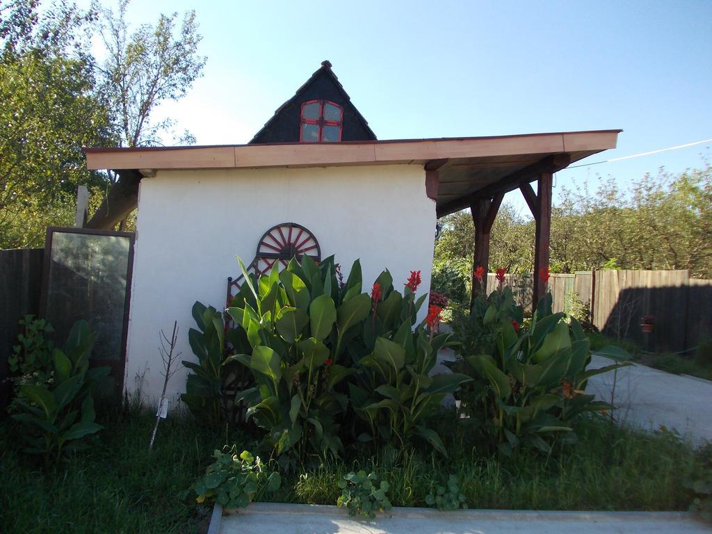 Legenda Anotimpurilor Villa Alma Ngoại thất bức ảnh