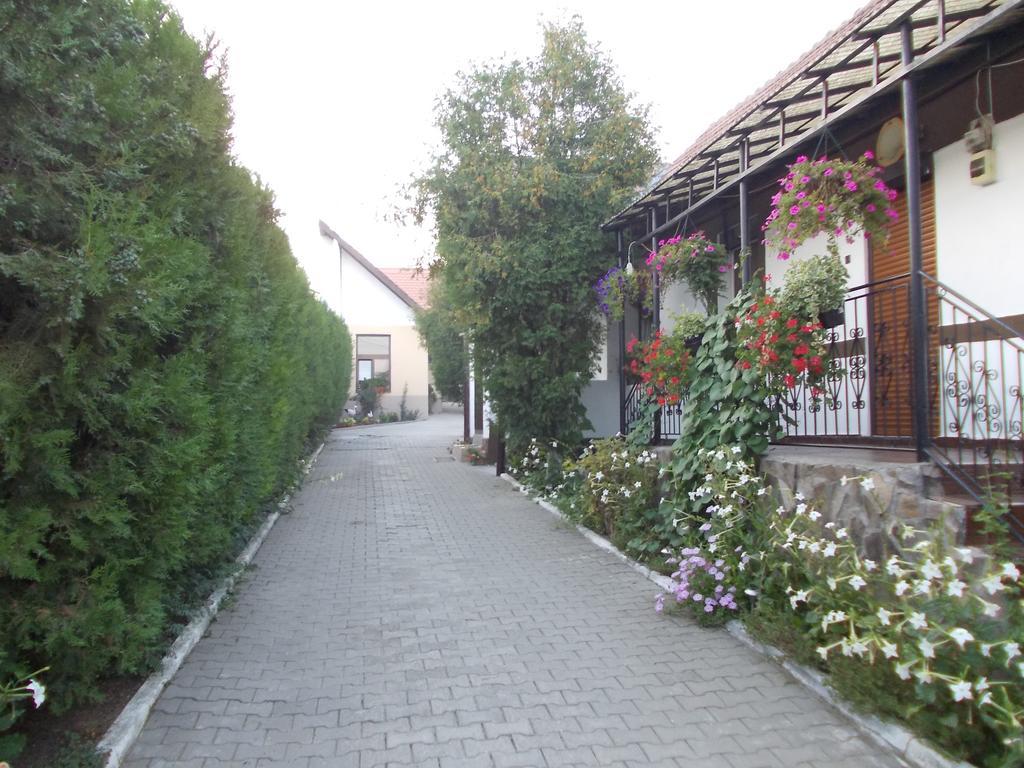 Legenda Anotimpurilor Villa Alma Ngoại thất bức ảnh