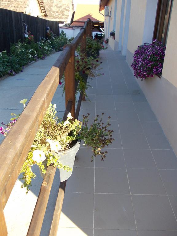 Legenda Anotimpurilor Villa Alma Ngoại thất bức ảnh