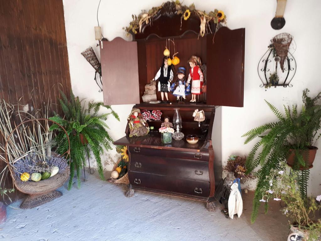 Legenda Anotimpurilor Villa Alma Ngoại thất bức ảnh